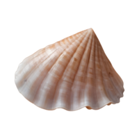 AI generated Macro shot of a transparent background showcasing an unusual seashell isolated png