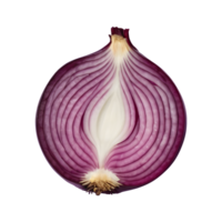 AI generated Top view of isolated red onion slice on transparent background png