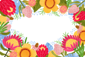 australien fleurs Cadre. gros brillant protea fleurs bannière, main tiré tropical végétaux, feuilles frontière. mignonne coloré carte, été décoratif modèle, tropique humeur, Hawaii botanique illustration png