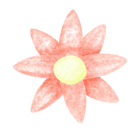 Flower icon on transparent. png