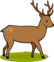 Deer on white background. Cartoon fawn animal in the forest. Vector Illustration