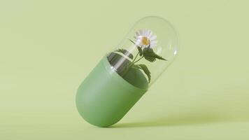Modern homeopathy pill concept with plants encased, ideal for advertising natural treatments, eco-friendly medicine. Homeopathic therapy. Copy space for text. Nettle and chamomile. 3D animation. video
