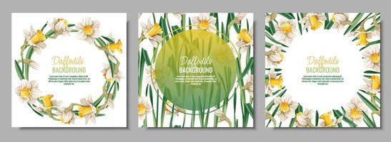 conjunto de primavera antecedentes con narcisos tarjeta postal, bandera para Pascua de Resurrección. primavera tiempo. marco con delicado primavera flores vector