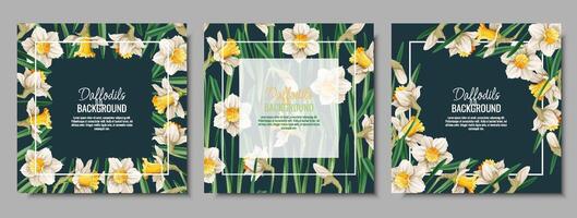 conjunto de primavera antecedentes con narcisos tarjeta postal, bandera para Pascua de Resurrección. primavera tiempo. marco con delicado primavera flores vector