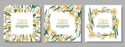 conjunto de primavera antecedentes con narcisos tarjeta postal, bandera para Pascua de Resurrección. primavera tiempo. marco con delicado primavera flores vector