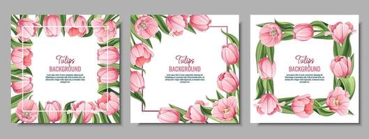 Set of greeting card, banner with pink tulips. Spring background for International Women s Day, March 8. Frame with delicate spring flowers. vector