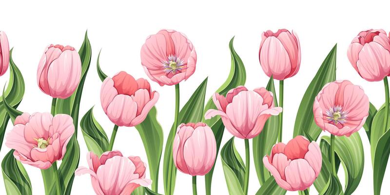 Seamless border of pink tulips on an isolated background. Illustration with spring flowers for Easter, Mother s Day, etc. Suitable for decor, fabric, cards, backgrounds, wallpapers
