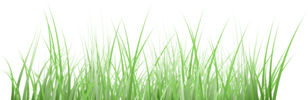 sfondo trasparente di erba png