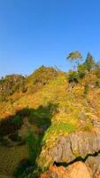 Conte de fée Montagne paysage dans nord vietnam video