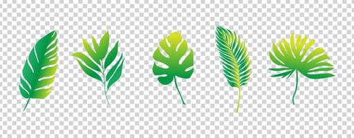 Tropical Leaves Background Vector Design