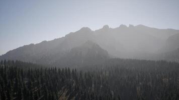 ein Aussicht von ein Berg Angebot mit Bäume im das Vordergrund video