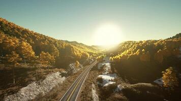 un aereo Visualizza di un' strada circondato di alberi video