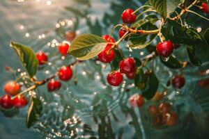 ai generado manojo de cerezas colgando desde árbol foto