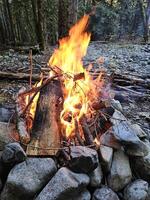 llamas de madera fuego en el terreno de camping en Roca fuego pozo en el bosques de Washington estado con un hermosa resplandor y fumar foto