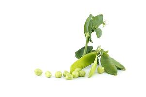 English peas pods with green leaves isolated on white photo