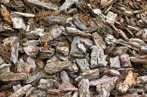 Wood chips of light brown color and rough texture photo