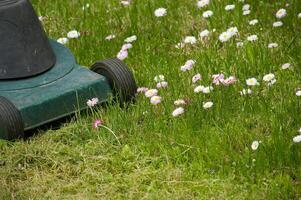 Seasons and yard maintenance concept with lawn mower photo