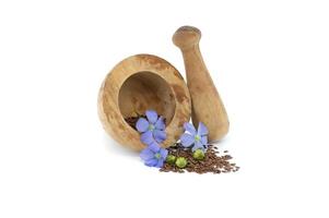 Linseed and flax blossom with seed capsules on white photo