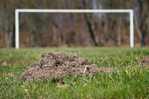 Football pitch with large mole hole in foreground photo