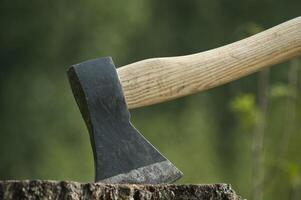 Hatchet or axe stuck in a tree stump against forest photo