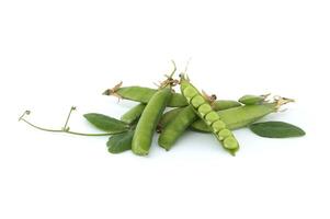 Pea pod is open and green peas inside over white background photo