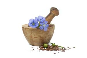 Flax linseed flower and seeds on white background photo