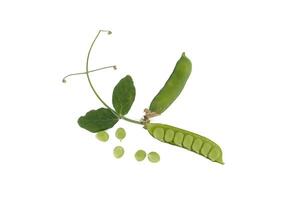 Open pea pods and green leaf isolated over white photo