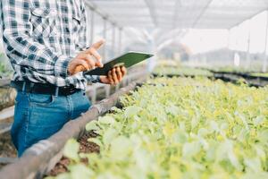 orgánico granja ,obrero pruebas y recoger ambiente datos desde bok choy orgánico vegetal a invernadero granja jardín. foto