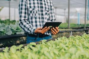 orgánico granja ,obrero pruebas y recoger ambiente datos desde bok choy orgánico vegetal a invernadero granja jardín. foto