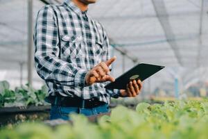 orgánico granja ,obrero pruebas y recoger ambiente datos desde bok choy orgánico vegetal a invernadero granja jardín. foto