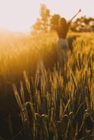 Young pretty woman in red summer dress and straw hat walking on yellow farm field with ripe golden wheat enjoying warm evening. photo