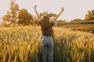 joven bonito mujer en rojo verano vestir y Paja sombrero caminando en amarillo granja campo con maduro dorado trigo disfrutando calentar noche. foto