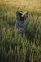 Young pretty woman in red summer dress and straw hat walking on yellow farm field with ripe golden wheat enjoying warm evening. photo