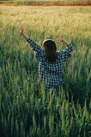 joven bonito mujer en rojo verano vestir y Paja sombrero caminando en amarillo granja campo con maduro dorado trigo disfrutando calentar noche. foto