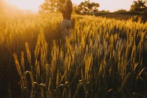 joven bonito mujer en rojo verano vestir y Paja sombrero caminando en amarillo granja campo con maduro dorado trigo disfrutando calentar noche. foto