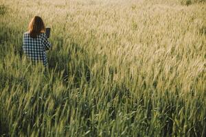 Smart farm. Farmer with tablet in the field. Agriculture, gardening or ecology concept. Harvesting. Agro business. photo