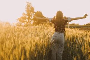 joven bonito mujer en rojo verano vestir y Paja sombrero caminando en amarillo granja campo con maduro dorado trigo disfrutando calentar noche. foto