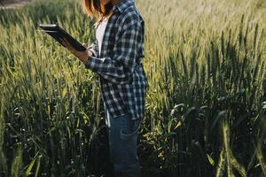 Smart farm. Farmer with tablet in the field. Agriculture, gardening or ecology concept. Harvesting. Agro business. photo