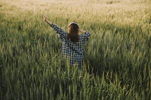 Young pretty woman in red summer dress and straw hat walking on yellow farm field with ripe golden wheat enjoying warm evening. photo