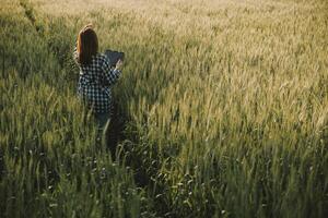 Smart farm. Farmer with tablet in the field. Agriculture, gardening or ecology concept. Harvesting. Agro business. photo