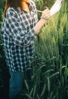 Smart farm. Farmer with tablet in the field. Agriculture, gardening or ecology concept. Harvesting. Agro business. photo