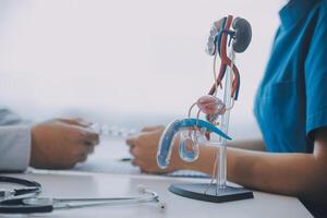 Doctor uses anatomical model to explain male urinary system. Model labeled with parts, doctor points and explains how they work together for urinary function, ensuring patient comprehension. photo