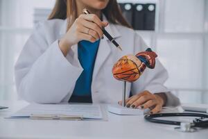 Doctor explaining heart to elderly patient. Doctor explaining the heart model. Doctors pen point to a model of the heart photo