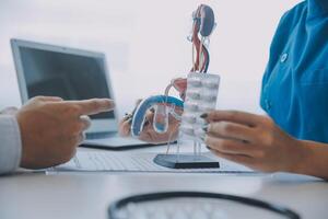 Doctor uses anatomical model to explain male urinary system. Model labeled with parts, doctor points and explains how they work together for urinary function, ensuring patient comprehension. photo