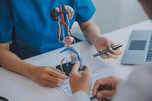 Doctor uses anatomical model to explain male urinary system. Model labeled with parts, doctor points and explains how they work together for urinary function, ensuring patient comprehension. photo