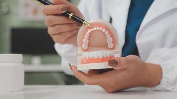 Dentist shows problem areas in teeth on artificial jaw closeup video