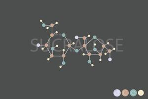 sucralose molecular skeletal chemical formula vector