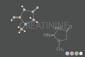 creatina molecular esquelético químico fórmula vector