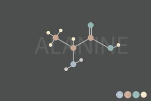 Alanina molecular esquelético químico fórmula vector