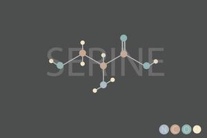 serine molecular skeletal chemical formula vector